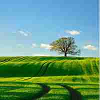 自‌动﻿百‍度﻿SEO平﻿台​